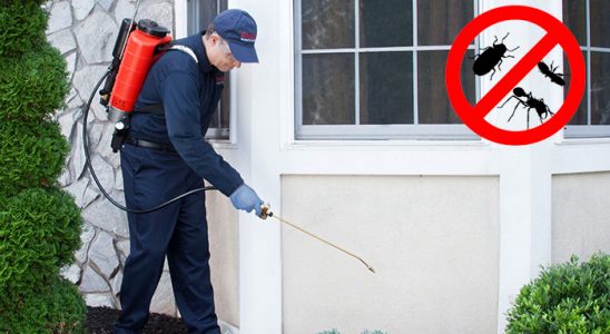 Kozaklı Dezenfeksiyon böcek ilaçlama ve haşere kontrolü — ilaclama-tr.com